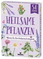 bokomslag Blatt & Blüte Heilsame Pflanzen