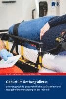 bokomslag Geburt im Rettungsdienst