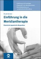 bokomslag Einführung in die Meridiantherapie