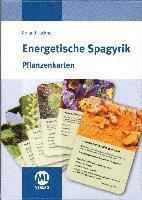 Energetische Spagyrik - Pflanzenkarten 1