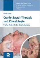 bokomslag Cranio-Sacral-Therapie und Kinesiologie