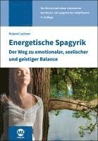 bokomslag Energetische Spagyrik