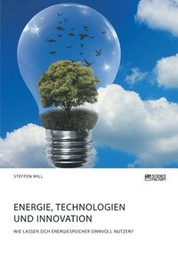 bokomslag Energie, Technologien und Innovation. Wie lassen sich Energiespeicher sinnvoll nutzen?