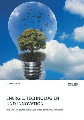 bokomslag Energie, Technologien und Innovation. Wie lassen sich Energiespeicher sinnvoll nutzen?