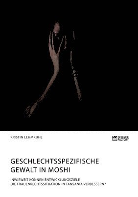 Kristin Lehmkuhl - Geschlechtsspezifische Gewalt in Moshi. Inwieweit können Entwicklungsziele die Frauenrechtssituation in Tansania verbessern?, Häftad