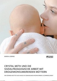 bokomslag Crystal Meth und die sozialpdagogische Arbeit mit drogenkonsumierenden Mttern. Wie knnen Mtter und Kinder in gemeinsamen Wohnformen zusammenleben?