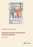 bokomslag Das Buch Ezechiel und die zwölf kleinen Propheten