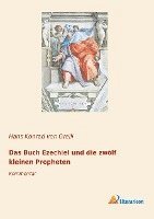 Hans Konrad von Orelli - Das Buch Ezechiel und die zwölf kleinen Propheten, Häftad