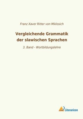 bokomslag Vergleichende Grammatik der slawischen Sprachen