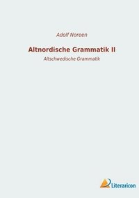 bokomslag Altnordische Grammatik II