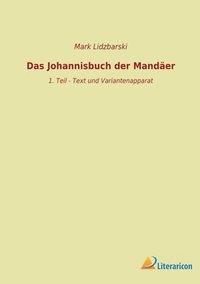 bokomslag Das Johannisbuch der Mandaer