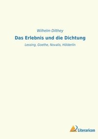 bokomslag Erlebnis und die Dichtung