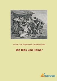 bokomslag Die Ilias und Homer