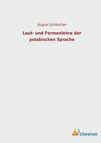 bokomslag Laut- und Formenlehre der polabischen Sprache