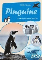 bokomslag Pinguine