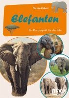 Elefanten 1