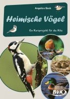 bokomslag Heimische Vögel -