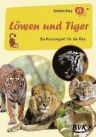 Kurzprojekt Löwen und Tiger 1
