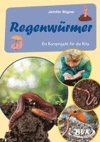 bokomslag Regenwürmer