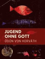 Jugend ohne Gott (Textausgabe)