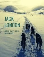 bokomslag Der Ruf der Wildnis (Der berühmte Abenteuerroman, der zum Film wurde)
