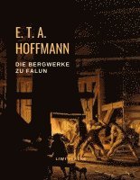 E. T. A. Hoffmann - Die Bergwerke zu Falun, Häftad