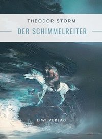 bokomslag Theodor Storm