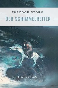 bokomslag Theodor Storm