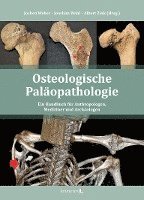 bokomslag Osteologische Paläopathologie