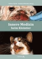 bokomslag Innere Medizin beim Kleintier