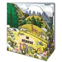 bokomslag Trötsch Fensterbuch Im Gebirge