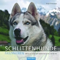 bokomslag Schlittenhunde faszinieren