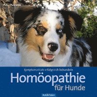 bokomslag Homöopathie für Hunde