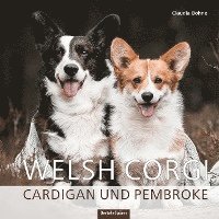 bokomslag Welsh Corgi