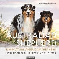 bokomslag Australian Shepherd & Miniature American Shepherd