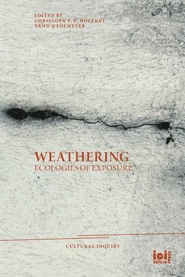 Christoph F E Holzhey, Arnd Wedemeyer - Weathering, Häftad