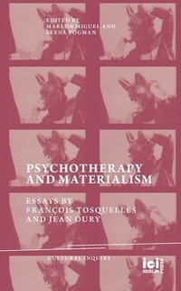 bokomslag Psychotherapy and Materialism