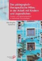 bokomslag Das pädagogisch-therapeutische Milieu in der Arbeit mit Kindern und Jugendlichen