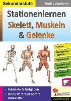 bokomslag Stationenlernen Skelette, Muskeln & Gelenke