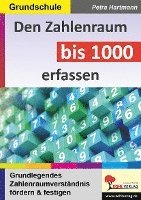 bokomslag Den Zahlenraum bis 1000 erfassen