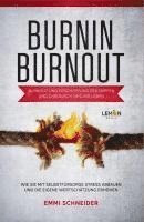 BurnIn BurnOut 1