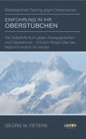 bokomslag Einführung in Ihr Oberstübchen: Metakognitives Training gegen Depressionen