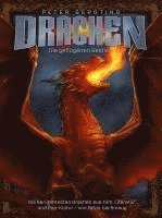 bokomslag Drachen - Die geflügelten Bestien