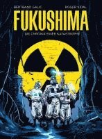 bokomslag Fukushima