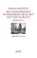 bokomslag Nils Holgerssons wunderbare Reise mit den Wildgänsen Band 1