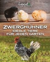 bokomslag Zwerghühner: Ideale Tiere für jeden Garten