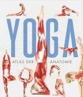 bokomslag YOGA - Atlas der Anatomie