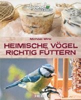 bokomslag Heimische Vögel richtig füttern