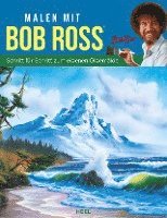 bokomslag Malen mit Bob Ross (deutsche Ausgabe)