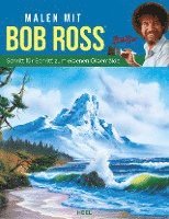 bokomslag Malen mit Bob Ross  - Schritt für Schritt zum eigenen Ölgemälde